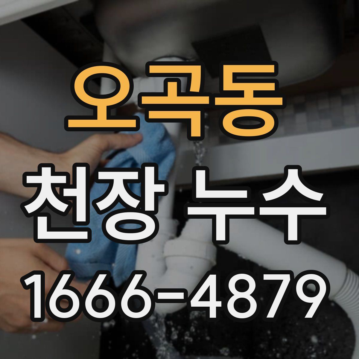 오곡동 천장 누수