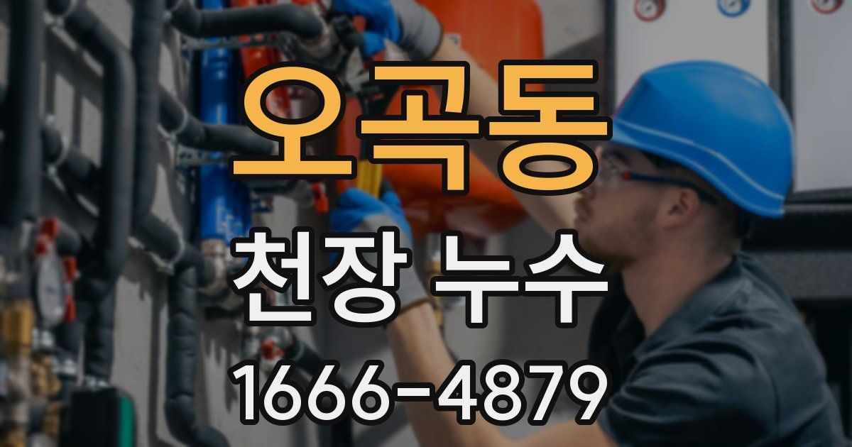 오곡동 천장 누수
