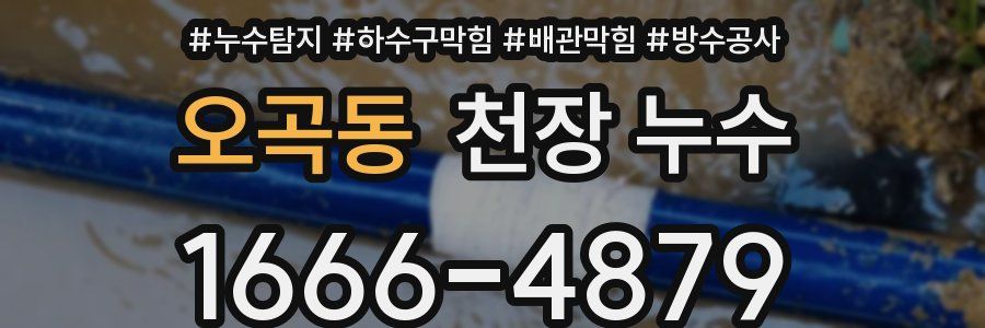 오곡동 천장 누수