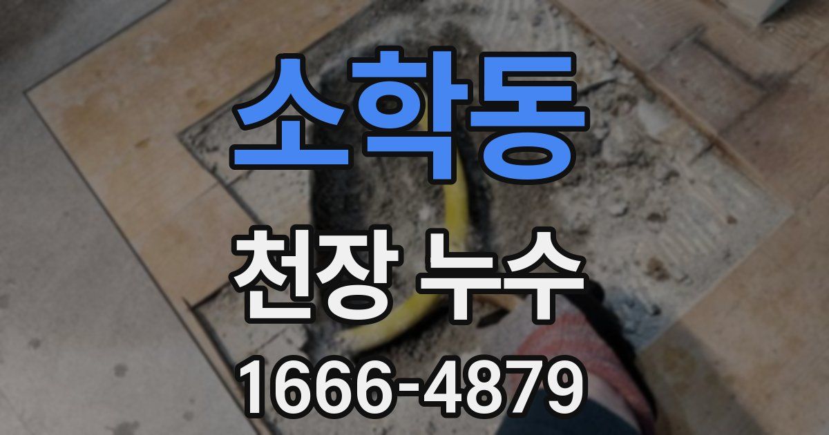 소학동 천장 누수