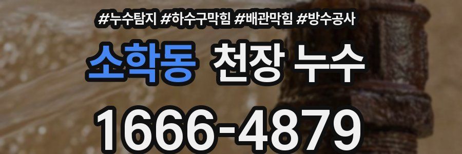 소학동 천장 누수