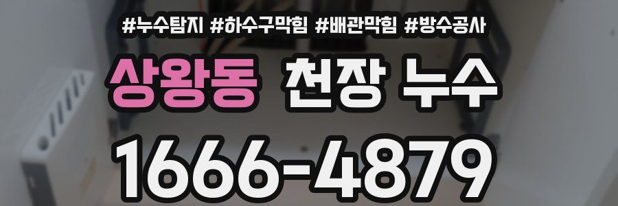 상왕동 천장 누수