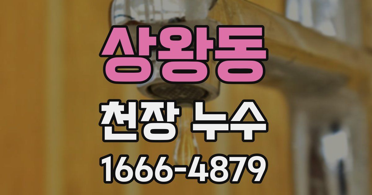 상왕동 천장 누수