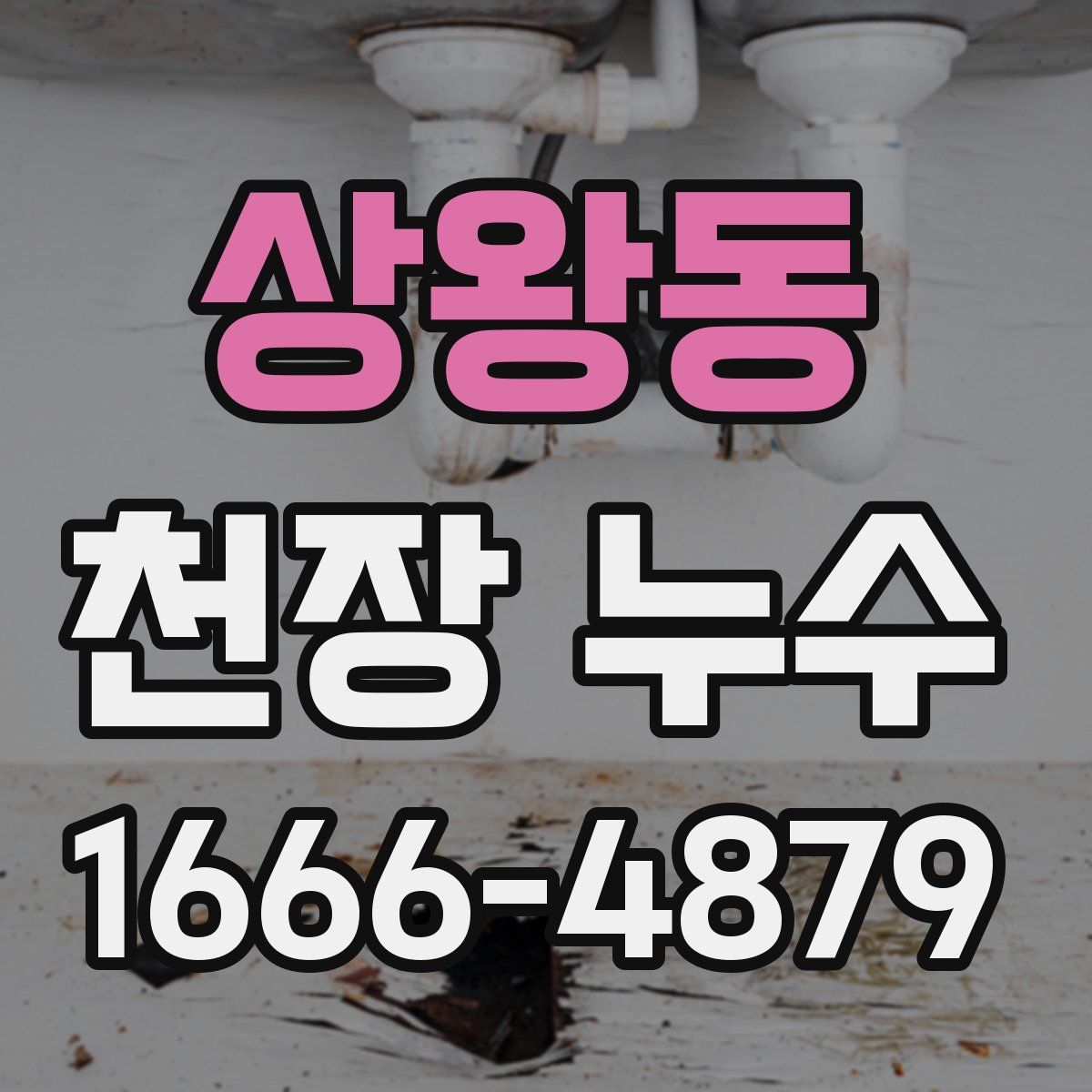 상왕동 천장 누수