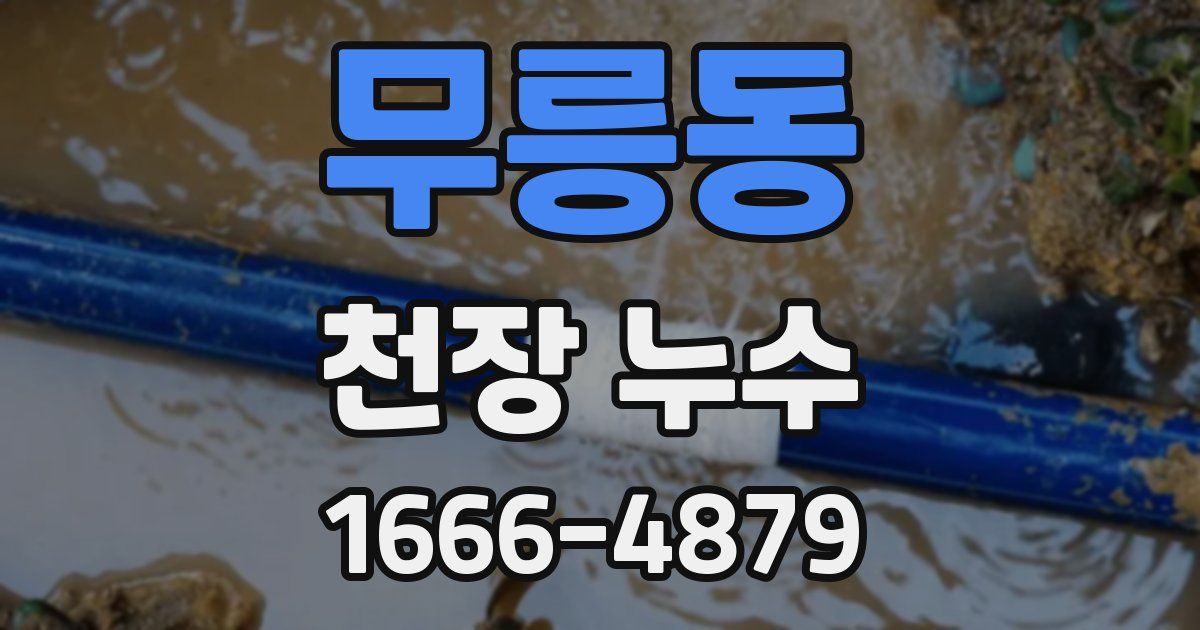 무릉동 천장 누수