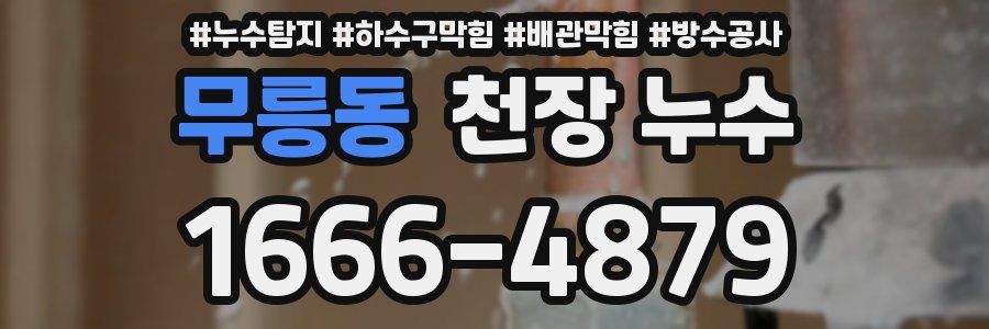 무릉동 천장 누수