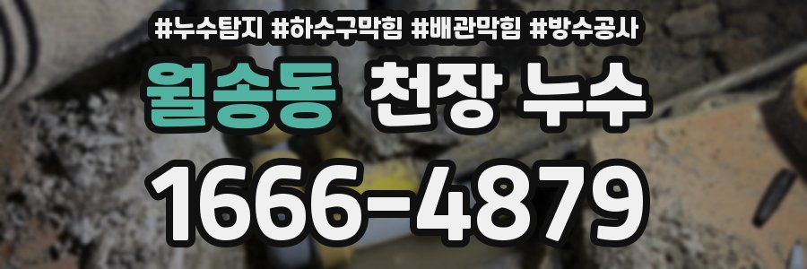 월송동 천장 누수