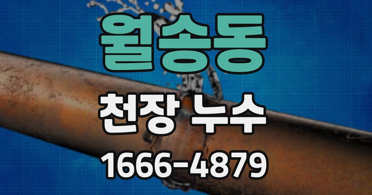 월송동 천장 누수