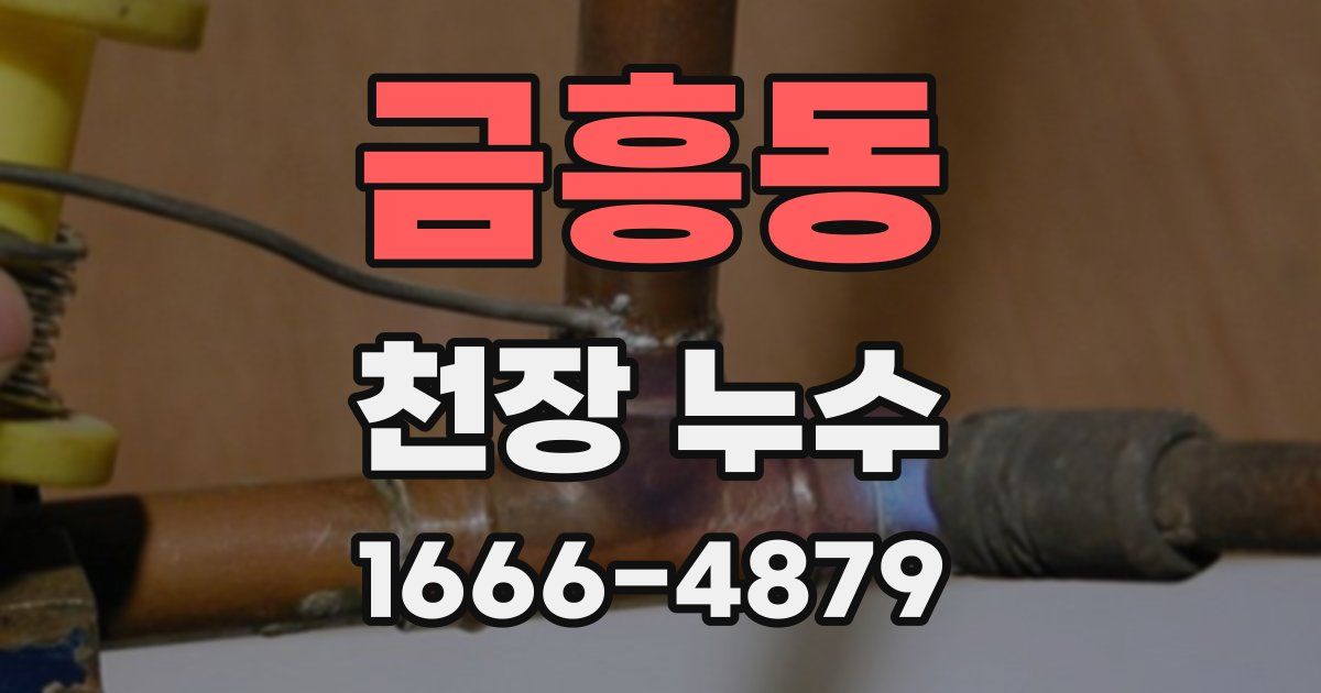 금흥동 천장 누수