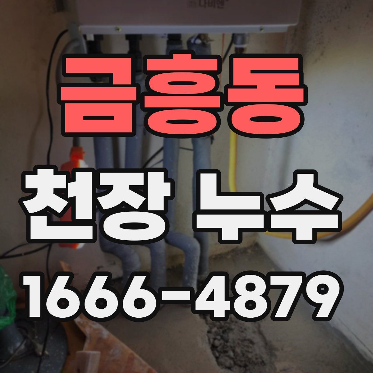 금흥동 천장 누수