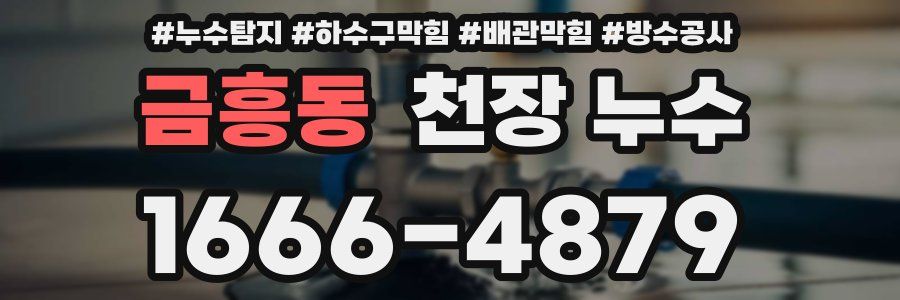 금흥동 천장 누수