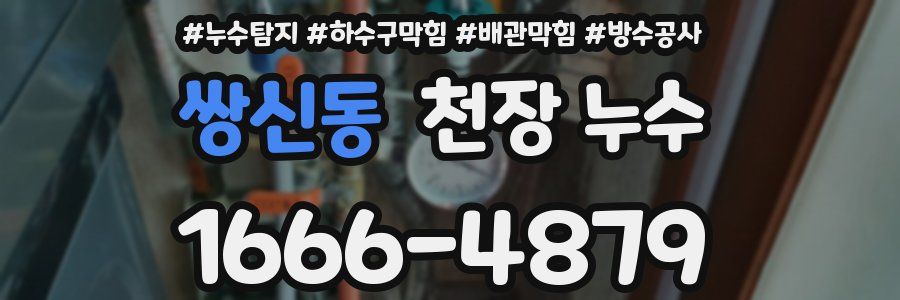 쌍신동 천장 누수
