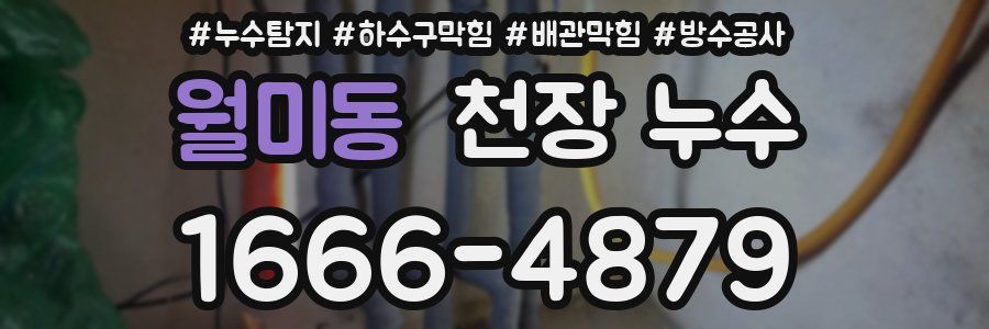 월미동 천장 누수