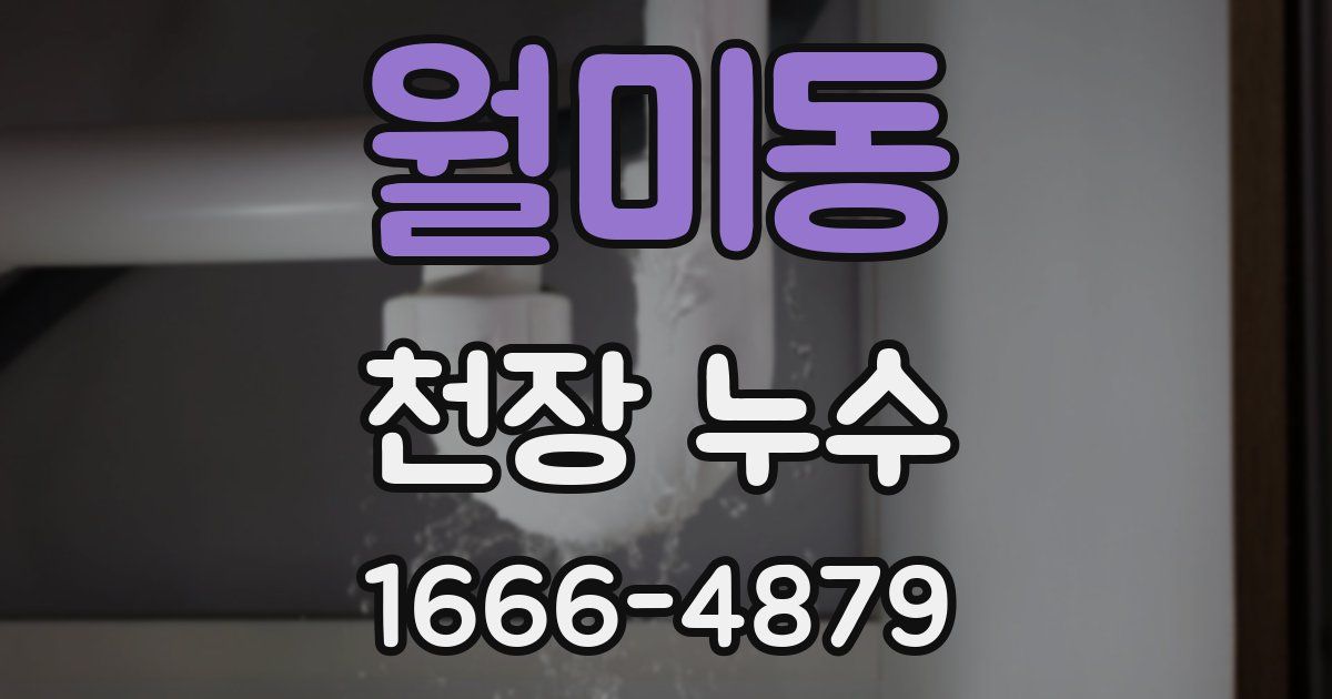 월미동 천장 누수