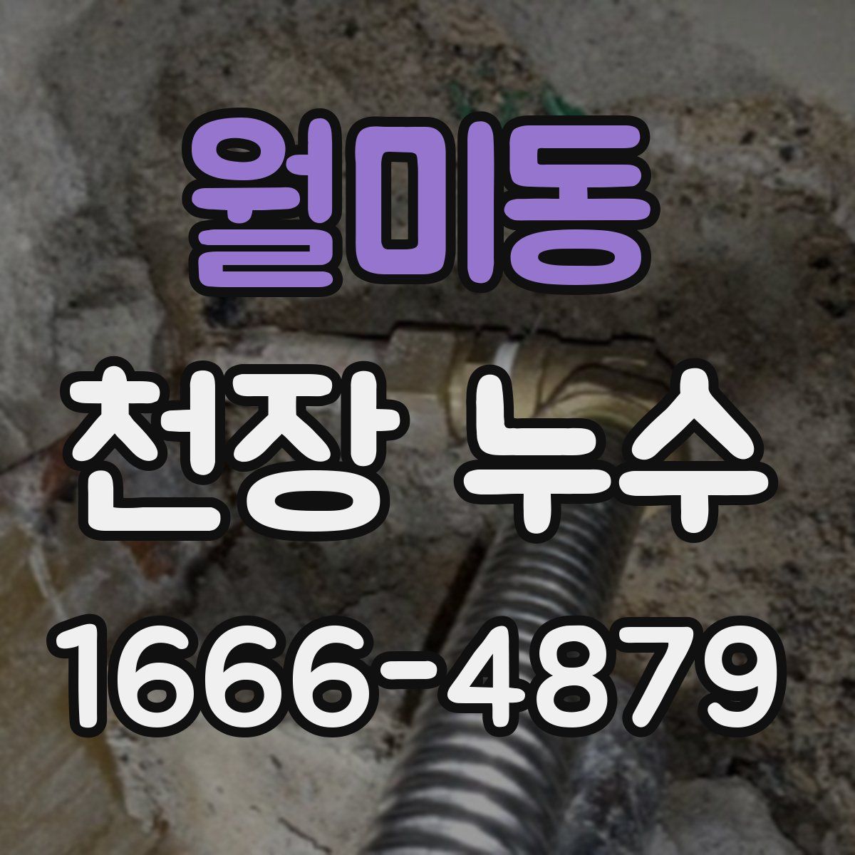 월미동 천장 누수