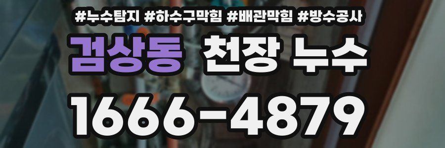 검상동 천장 누수