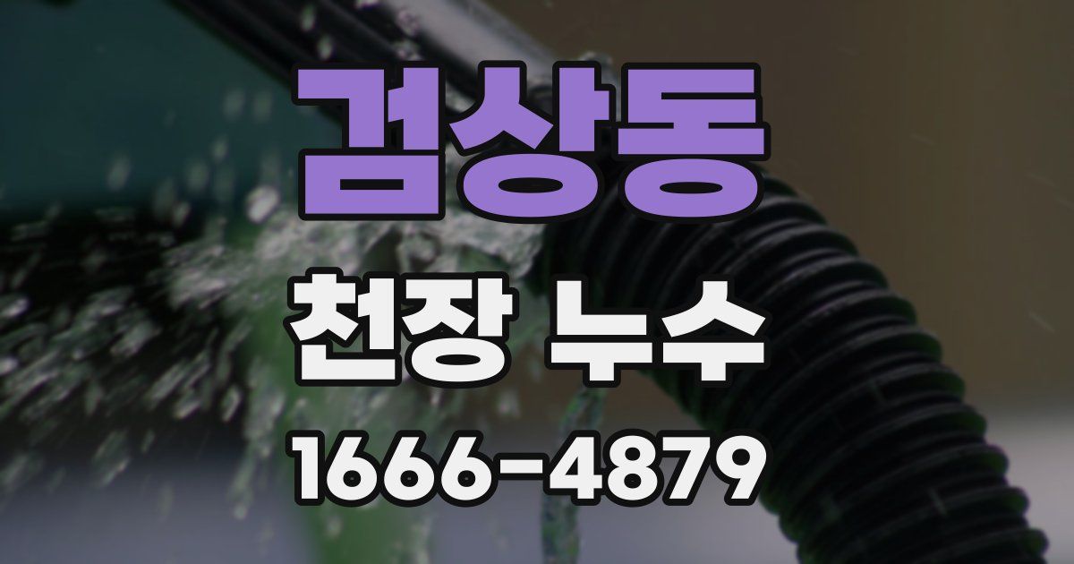 검상동 천장 누수