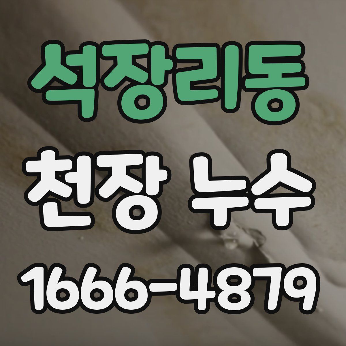 석장리동 천장 누수