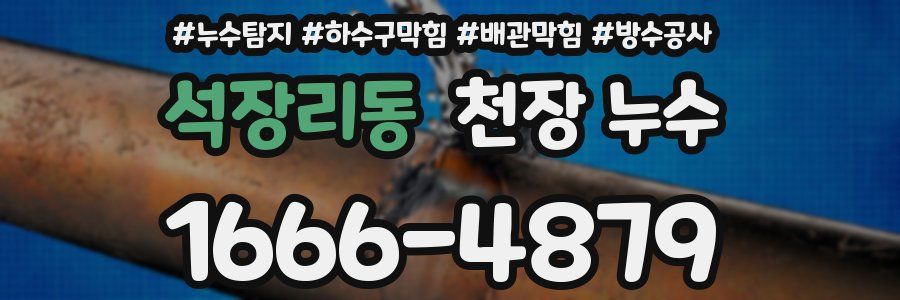 석장리동 천장 누수