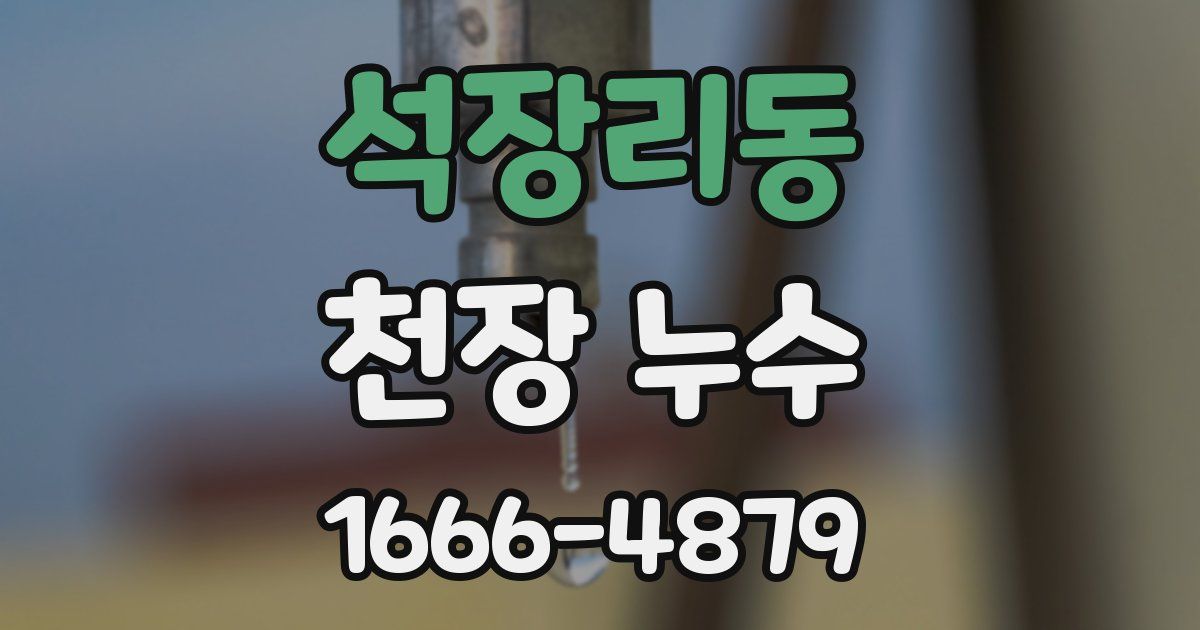 석장리동 천장 누수