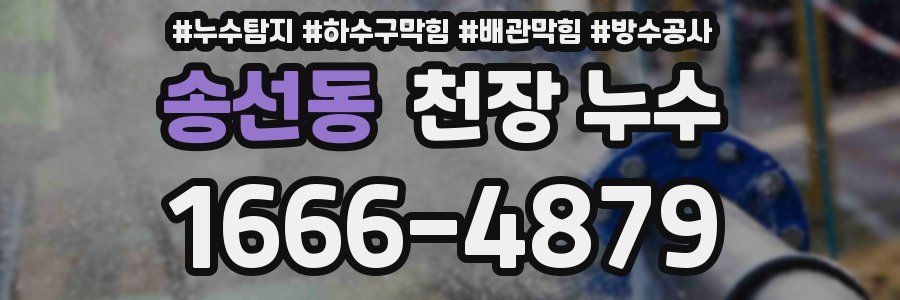송선동 천장 누수