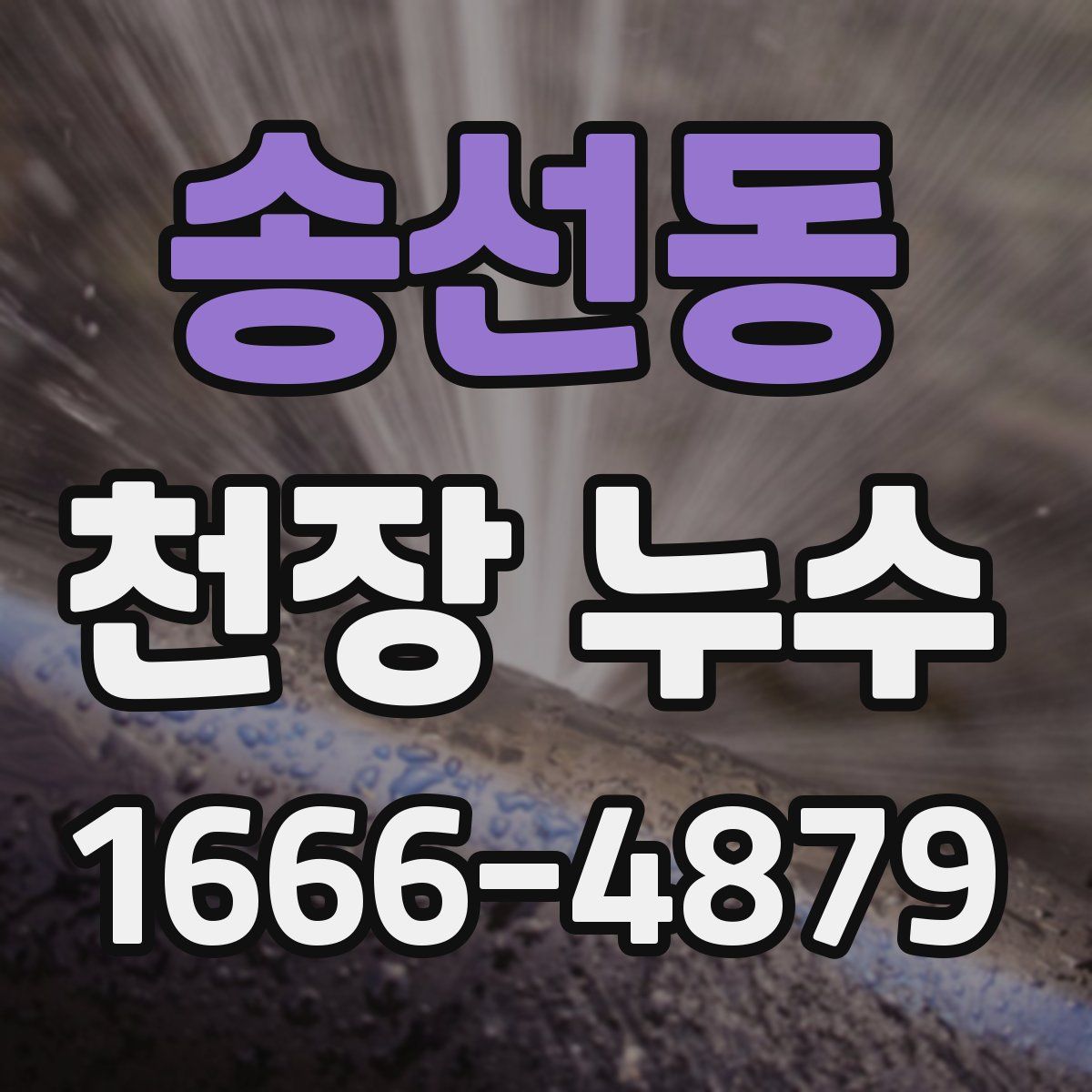 송선동 천장 누수