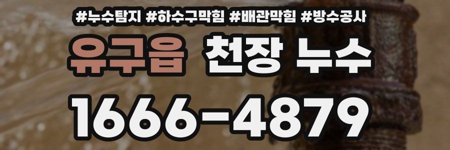 유구읍 천장 누수