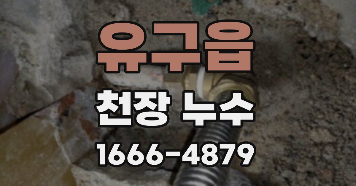 유구읍 천장 누수
