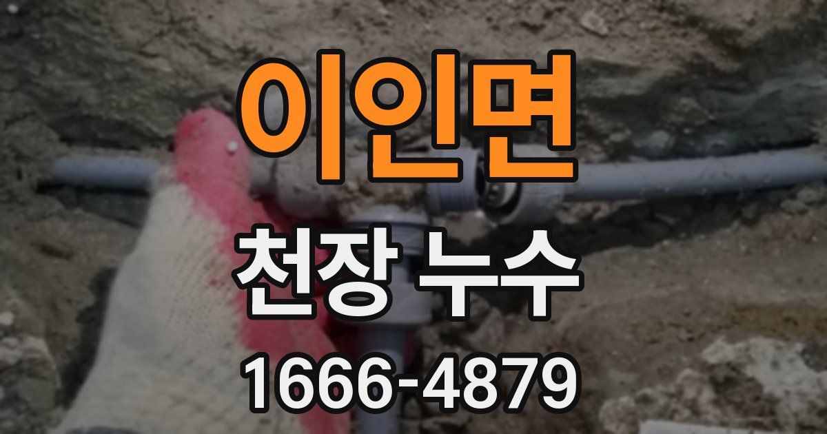 이인면 천장 누수