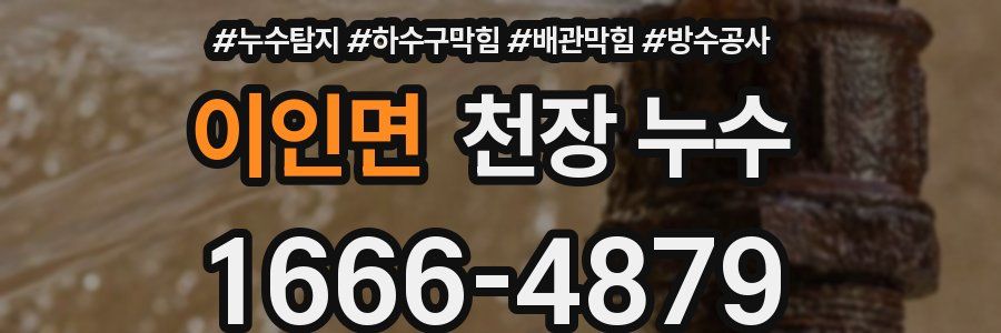 이인면 천장 누수