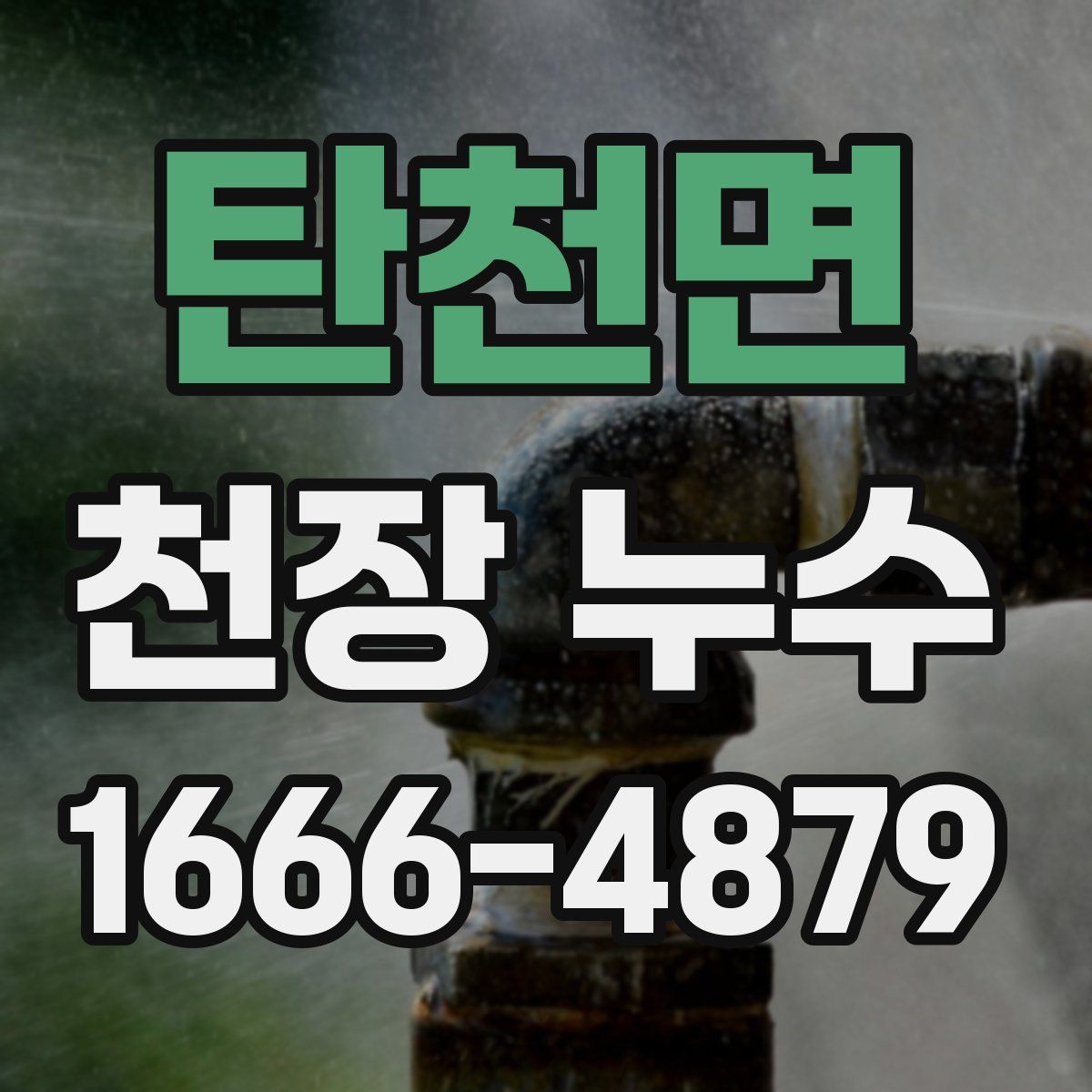 탄천면 천장 누수
