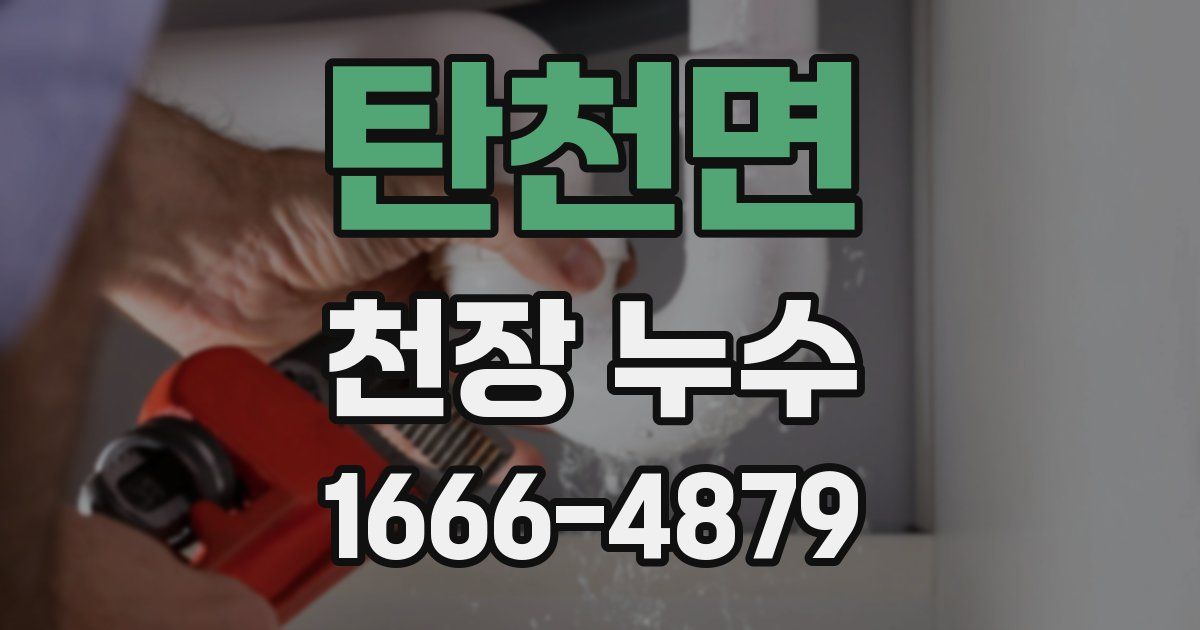탄천면 천장 누수