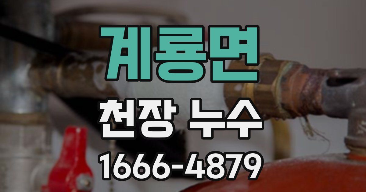 계룡면 천장 누수
