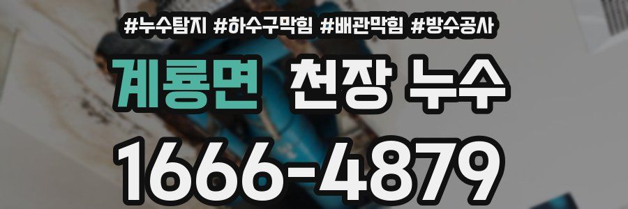 계룡면 천장 누수