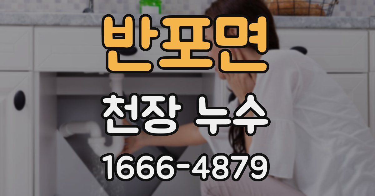 반포면 천장 누수