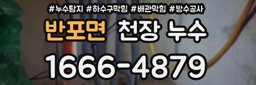 반포면 천장 누수