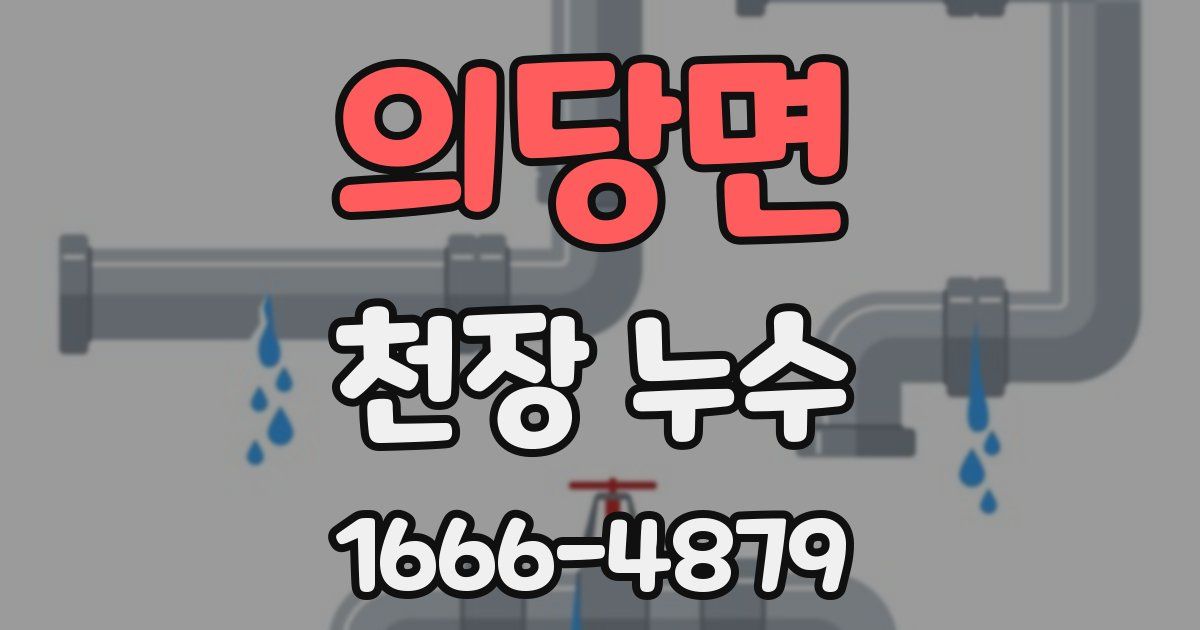 의당면 천장 누수