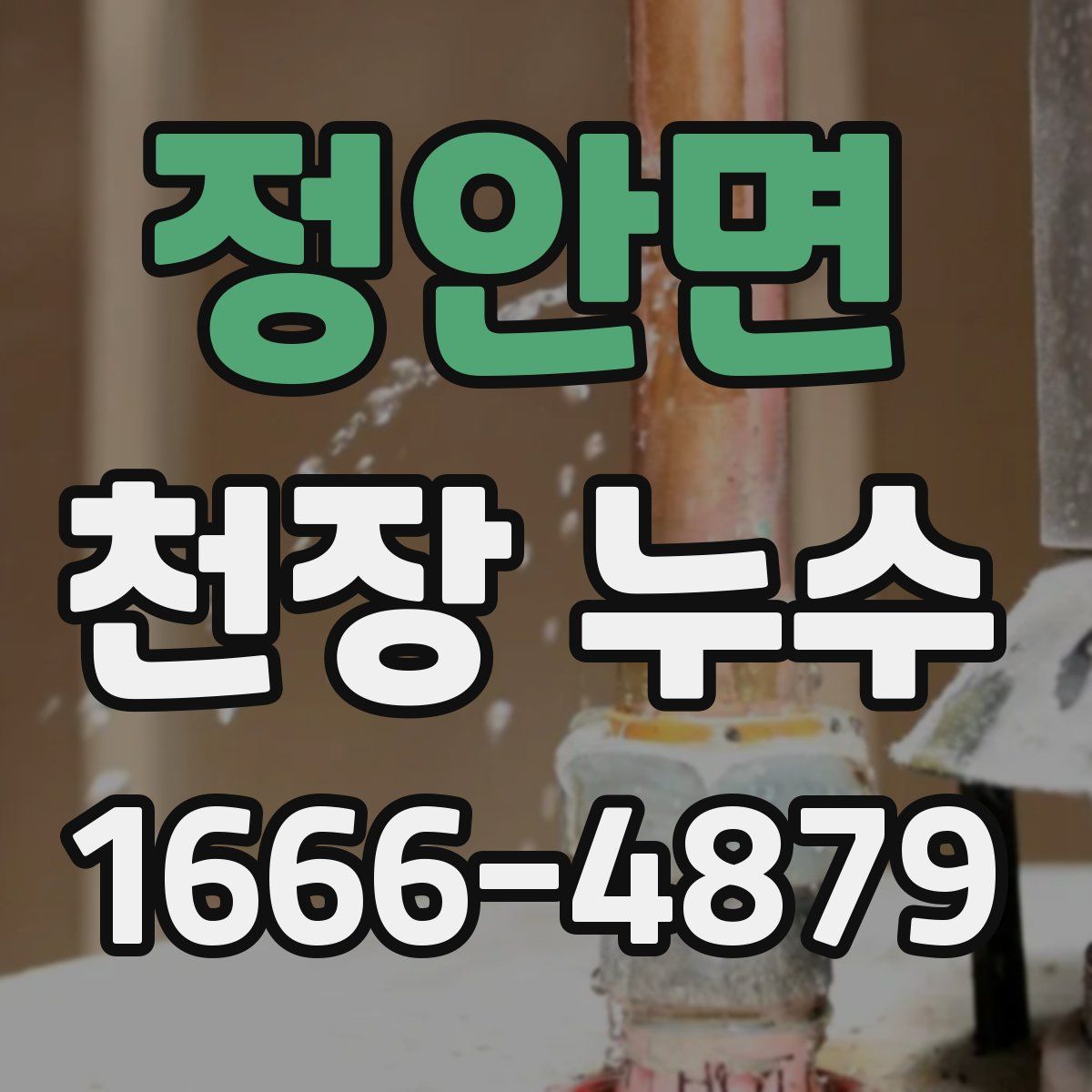 정안면 천장 누수