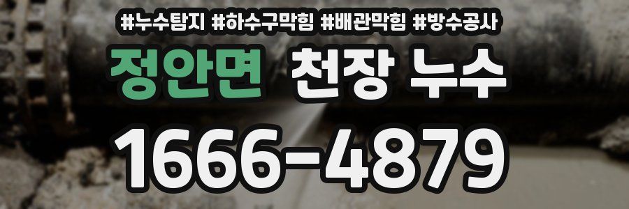 정안면 천장 누수