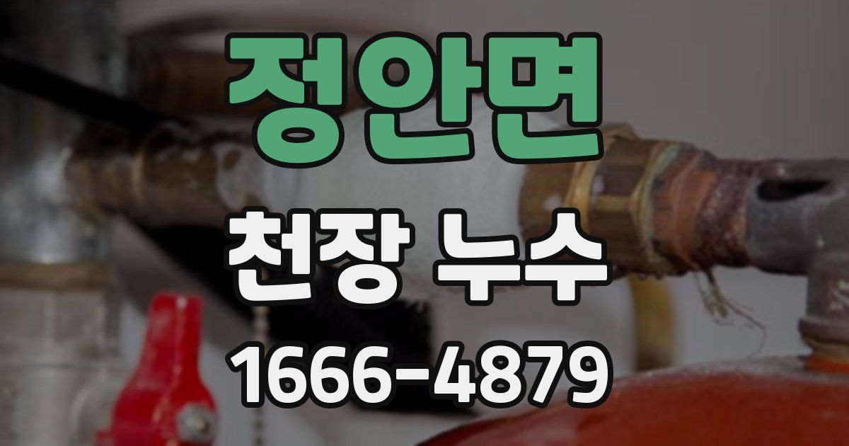 정안면 천장 누수