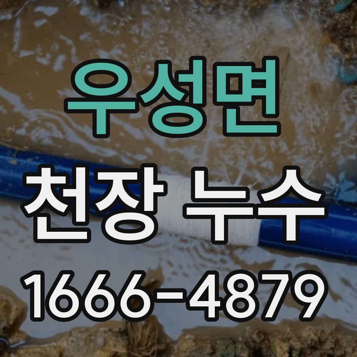 우성면 천장 누수