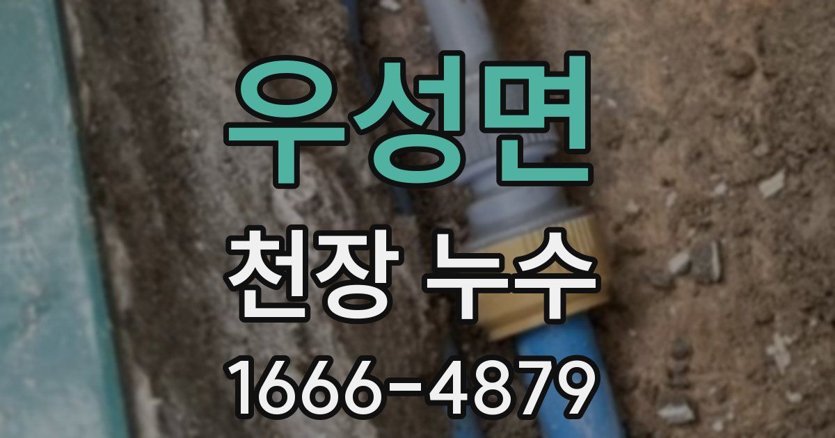 우성면 천장 누수