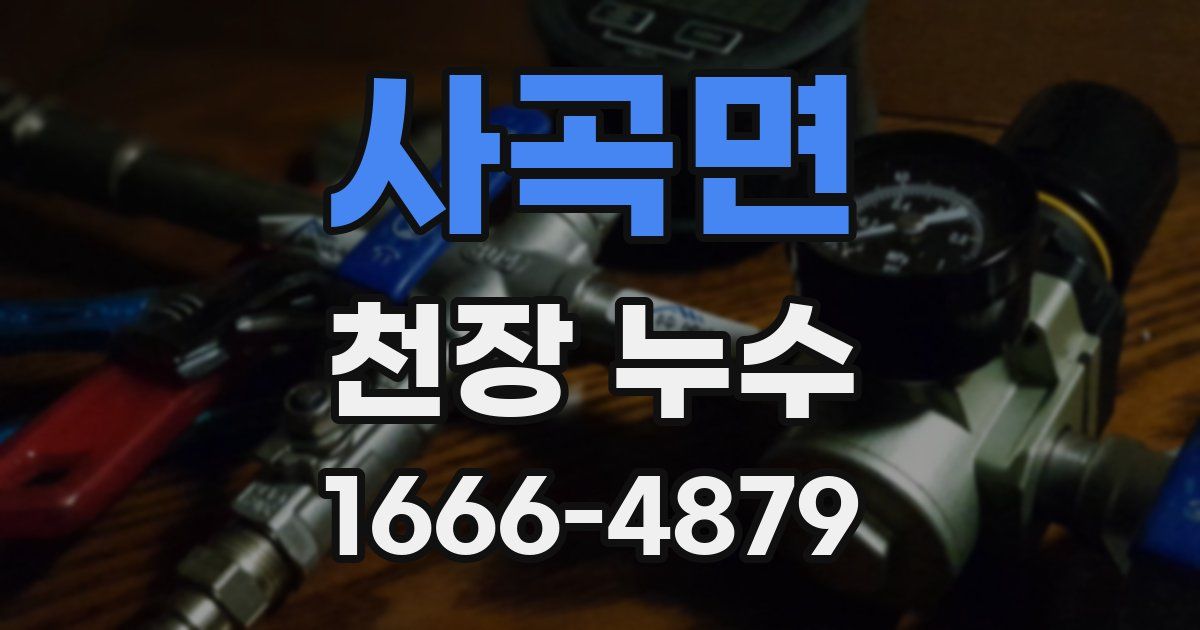 사곡면 천장 누수
