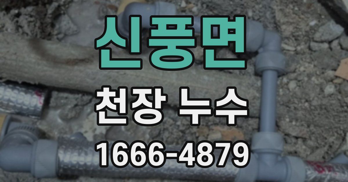 신풍면 천장 누수