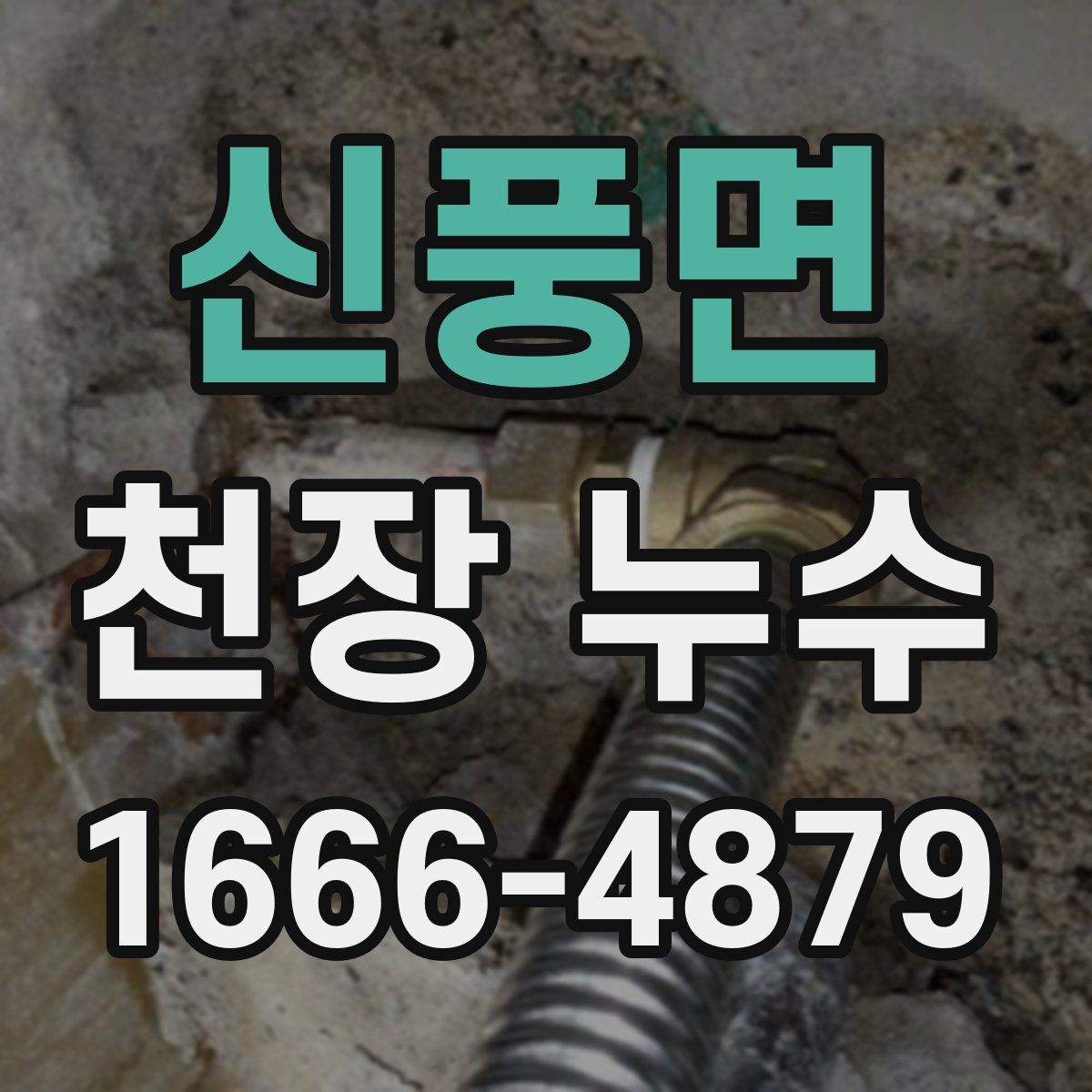 신풍면 천장 누수