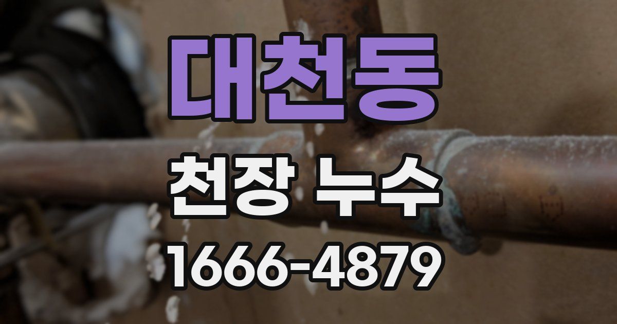 대천동 천장 누수