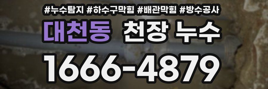 대천동 천장 누수