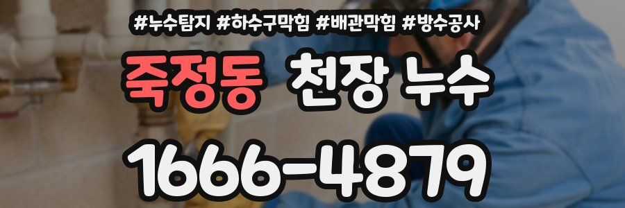 죽정동 천장 누수