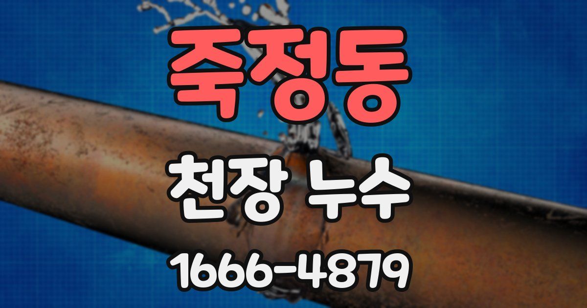 죽정동 천장 누수