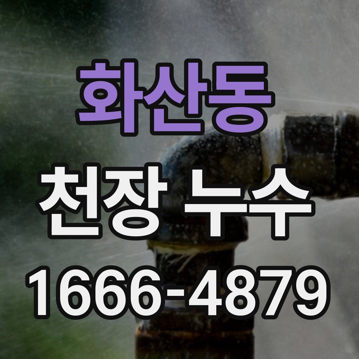화산동 천장 누수
